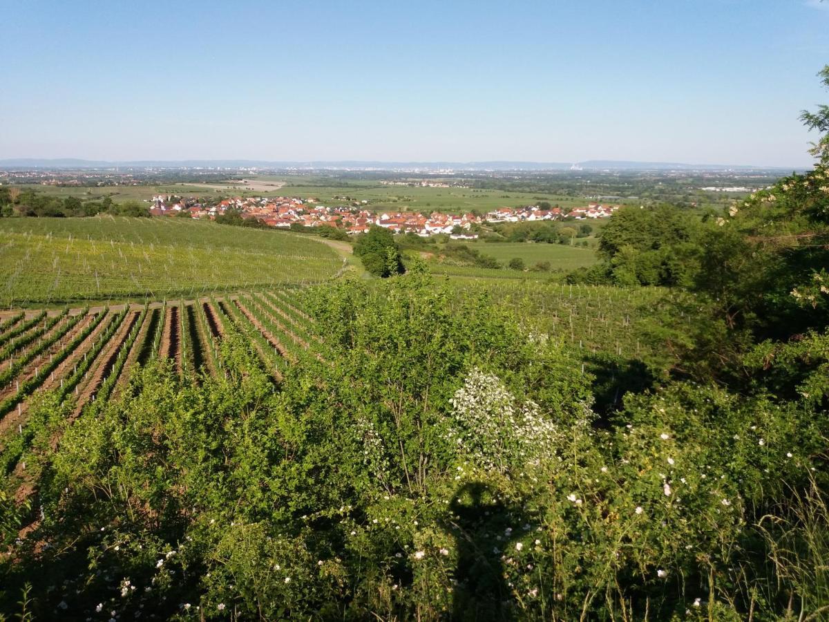 Ferienwohnung Lingenfelder Bad Dürkheim Exterior foto